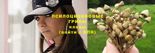 соль ск Навашино
