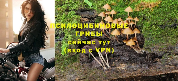 соль ск Навашино