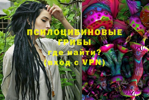 соль ск Навашино