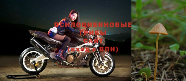 соль ск Навашино