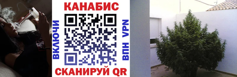 Купить  Суоярви  Бошки Шишки Bruce Banner 